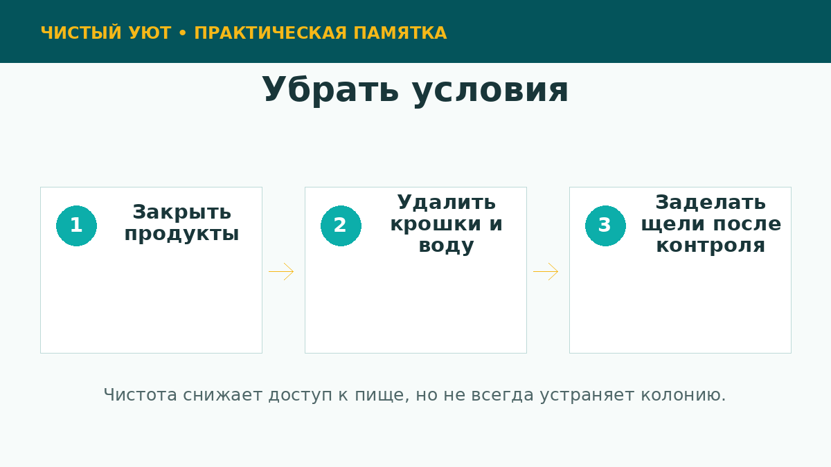 Профилактика появления муравьев в доме