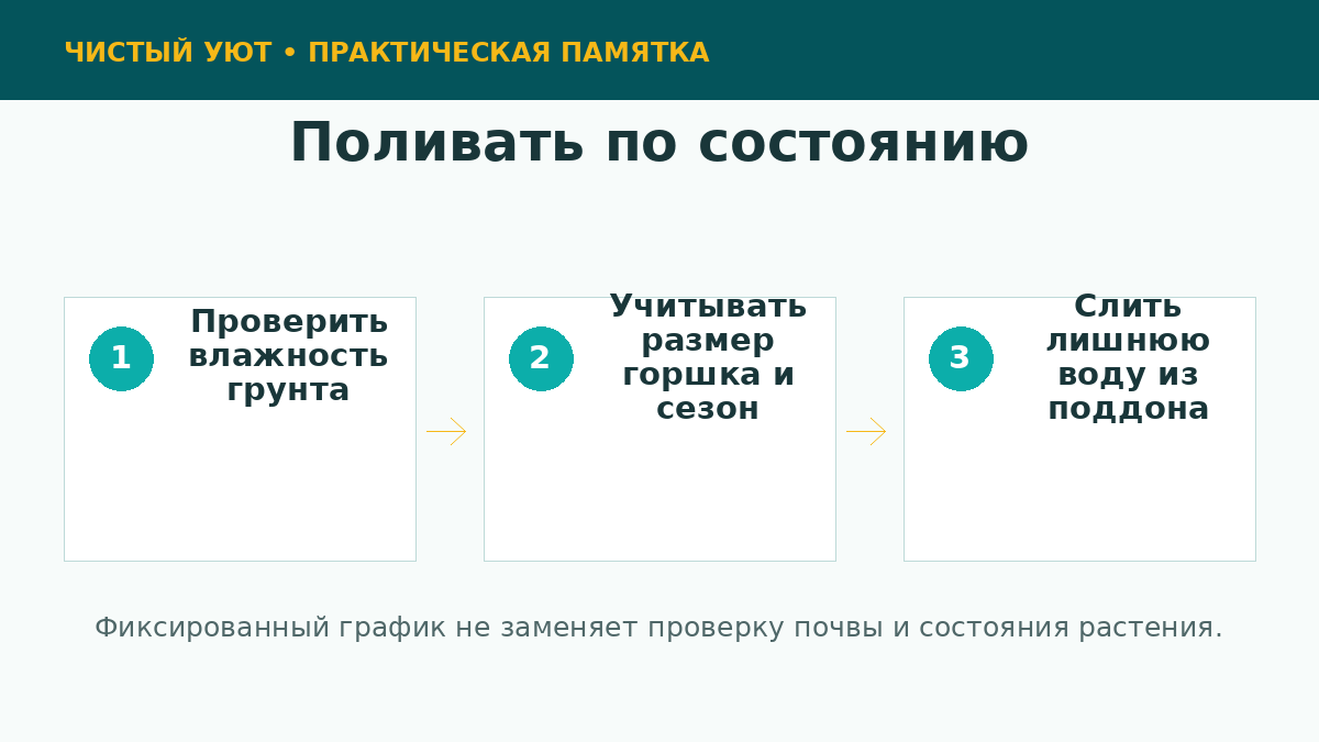Проверка влажности почвы перед поливом растения